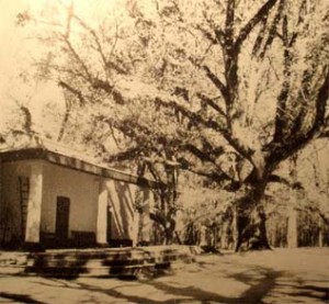 Rincón de López – Fotografía tomada por Fermín Chávez
